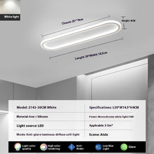 Load image into Gallery viewer, Modern Minimalist LED Strip Bedroom Cloakroom Ceiling Lamp